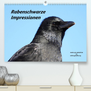 Rabenschwarze Impressionen – meike-ajo-dettlaff.de via wildvogelhlfe.org (Premium, hochwertiger DIN A2 Wandkalender 2023, Kunstdruck in Hochglanz) von AJo. Dettlaff,  Meike