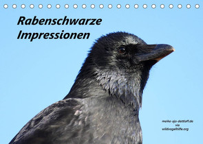 Rabenschwarze Impressionen – meike-ajo-dettlaff.de via wildvogelhlfe.org (Tischkalender 2023 DIN A5 quer) von AJo. Dettlaff,  Meike