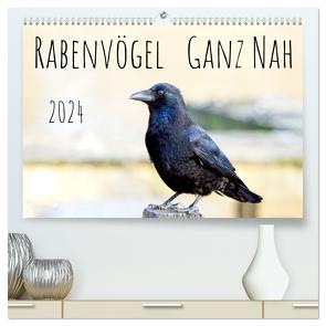 Rabenvögel – ganz nah (hochwertiger Premium Wandkalender 2024 DIN A2 quer), Kunstdruck in Hochglanz von Voss,  Kathrin