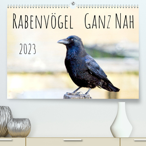 Rabenvögel – ganz nah (Premium, hochwertiger DIN A2 Wandkalender 2023, Kunstdruck in Hochglanz) von Voss,  Kathrin