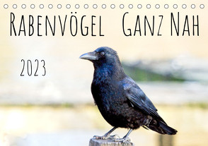Rabenvögel – ganz nah (Tischkalender 2023 DIN A5 quer) von Voss,  Kathrin