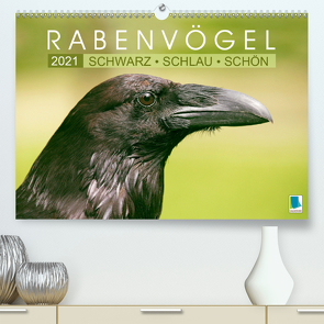 Rabenvögel: Schwarz, schlau, schön (Premium, hochwertiger DIN A2 Wandkalender 2021, Kunstdruck in Hochglanz) von CALVENDO