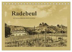 Radebeul – Ein Kalender im Zeitungsstil (Tischkalender 2024 DIN A5 quer), CALVENDO Monatskalender von Kirsch,  Gunter