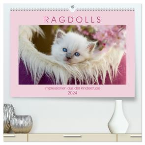 RAGDOLLS Impressionen aus der Kinderstube (hochwertiger Premium Wandkalender 2024 DIN A2 quer), Kunstdruck in Hochglanz von Reiß-Seibert,  Marion