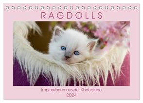 RAGDOLLS Impressionen aus der Kinderstube (Tischkalender 2024 DIN A5 quer), CALVENDO Monatskalender von Reiß-Seibert,  Marion