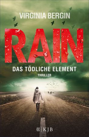 Rain – Das tödliche Element von Bergin,  Virginia, Schmidt,  Rainer