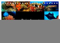 Raja Ampat – Faszinierende Unterwasserwelt (Tischkalender 2024 DIN A5 quer), CALVENDO Monatskalender von H. Kraus,  Martin