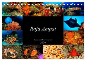 Raja Ampat – Faszinierende Unterwasserwelt (Tischkalender 2024 DIN A5 quer), CALVENDO Monatskalender von H. Kraus,  Martin