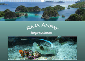 Raja Ampat – Impressionen (Wandkalender 2023 DIN A3 quer) von Niemann,  Ute