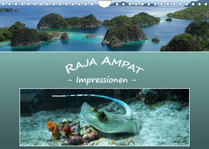 Raja Ampat – Impressionen (Wandkalender 2023 DIN A4 quer) von Niemann,  Ute