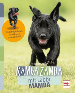 Rambazamba mit Labbi Mamba von Strunz,  Cornelia