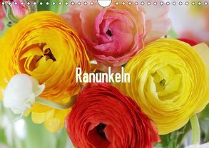 Ranunkeln (Wandkalender 2019 DIN A4 quer) von Kruse,  Gisela