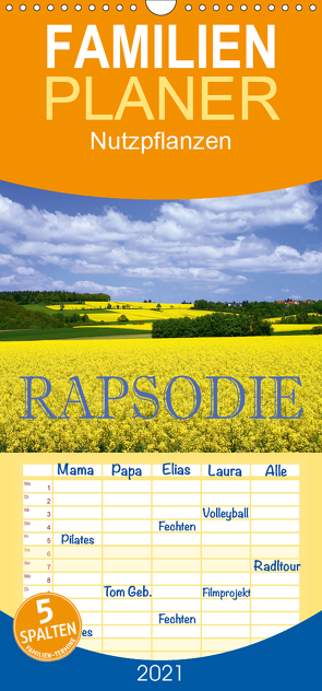 Rapsodie – Familienplaner hoch (Wandkalender 2021 , 21 cm x 45 cm, hoch) von Pfleger,  Hans