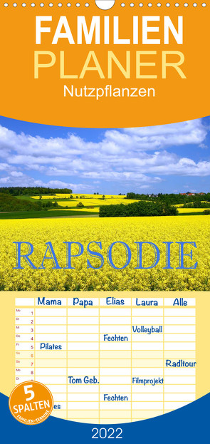 Rapsodie – Familienplaner hoch (Wandkalender 2022 , 21 cm x 45 cm, hoch) von Pfleger,  Hans