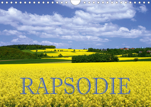 Rapsodie (Wandkalender 2021 DIN A4 quer) von Pfleger,  Hans