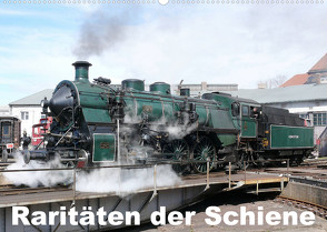 Raritäten der Schiene (Wandkalender 2023 DIN A2 quer) von Gerstner,  Wolfgang