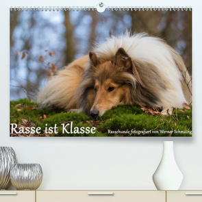 Rasse ist Klasse (Premium, hochwertiger DIN A2 Wandkalender 2021, Kunstdruck in Hochglanz) von Schmäing,  Werner