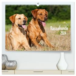 Rassehunde (hochwertiger Premium Wandkalender 2024 DIN A2 quer), Kunstdruck in Hochglanz von Dzierzawa,  Judith
