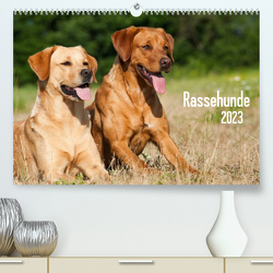 Rassehunde (Premium, hochwertiger DIN A2 Wandkalender 2023, Kunstdruck in Hochglanz) von Dzierzawa,  Judith