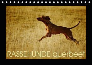 RASSEHUNDE querbeet (Tischkalender 2019 DIN A5 quer) von Köntopp,  Kathrin