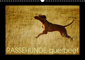 RASSEHUNDE querbeet (Wandkalender 2023 DIN A3 quer) von Köntopp,  Kathrin