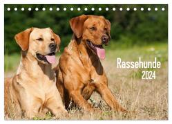 Rassehunde (Tischkalender 2024 DIN A5 quer), CALVENDO Monatskalender von Dzierzawa,  Judith