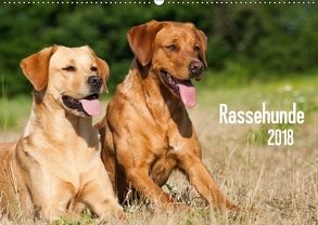 Rassehunde (Wandkalender 2018 DIN A2 quer) von Dzierzawa,  Judith
