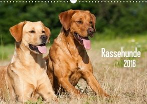 Rassehunde (Wandkalender 2018 DIN A3 quer) von Dzierzawa,  Judith