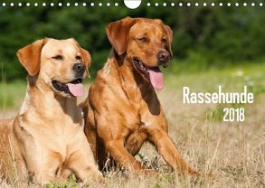 Rassehunde (Wandkalender 2018 DIN A4 quer) von Dzierzawa,  Judith