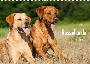 Rassehunde (Wandkalender 2022 DIN A2 quer) von Dzierzawa,  Judith