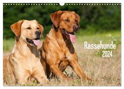 Rassehunde (Wandkalender 2024 DIN A3 quer), CALVENDO Monatskalender von Dzierzawa,  Judith