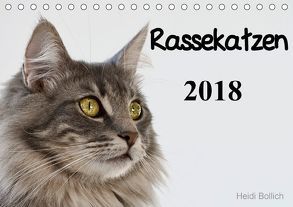 Rassekatzen 2018 (Tischkalender 2018 DIN A5 quer) von Bollich,  Heidi