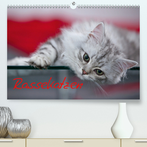 Rassekatzen (CH – Version) (Premium, hochwertiger DIN A2 Wandkalender 2020, Kunstdruck in Hochglanz) von Viola,  Melanie