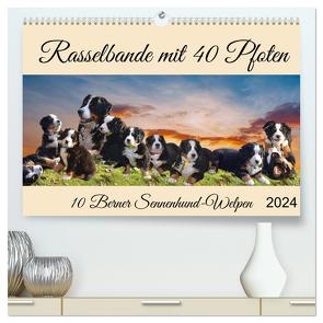 Rasselbande mit 40 Pfoten (hochwertiger Premium Wandkalender 2024 DIN A2 quer), Kunstdruck in Hochglanz von Kleemann,  Claudia