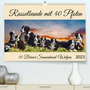 Rasselbande mit 40 Pfoten (Premium, hochwertiger DIN A2 Wandkalender 2023, Kunstdruck in Hochglanz) von Kleemann,  Claudia