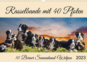 Rasselbande mit 40 Pfoten (Wandkalender 2022 DIN A3 quer) von Kleemann,  Claudia