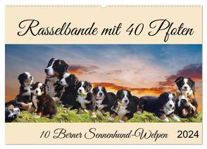 Rasselbande mit 40 Pfoten (Wandkalender 2024 DIN A2 quer), CALVENDO Monatskalender von Kleemann,  Claudia