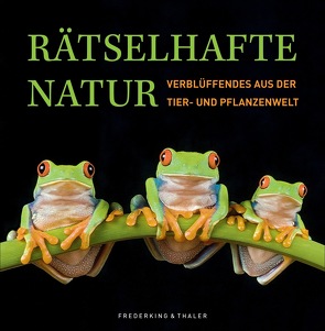 Rätselhafte Natur von Köthe,  Dr. Rainer