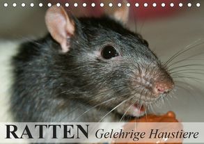 Ratten – Gelehrige Haustiere (Tischkalender 2019 DIN A5 quer) von Stanzer,  Elisabeth