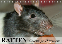 Ratten – Gelehrige Haustiere (Tischkalender 2023 DIN A5 quer) von Stanzer,  Elisabeth
