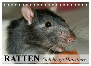 Ratten – Gelehrige Haustiere (Tischkalender 2024 DIN A5 quer), CALVENDO Monatskalender von Stanzer,  Elisabeth