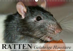 Ratten – Gelehrige Haustiere (Wandkalender 2019 DIN A3 quer) von Stanzer,  Elisabeth