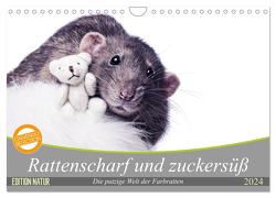Rattenscharf und zuckersüß (Wandkalender 2024 DIN A4 quer), CALVENDO Monatskalender von Nilson,  Thorsten