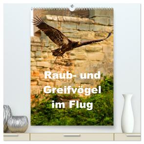 Raub- und Greifvögel im Flug (hochwertiger Premium Wandkalender 2024 DIN A2 hoch), Kunstdruck in Hochglanz von Wernicke-Marfo,  Gabriela