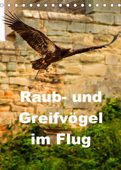 Raub- und Greifvögel im Flug (Tischkalender 2023 DIN A5 hoch) von Wernicke-Marfo,  Gabriela