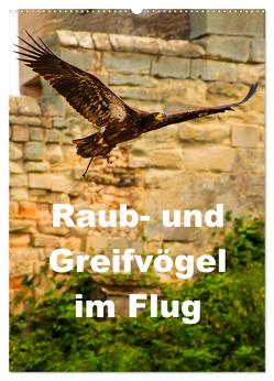 Raub- und Greifvögel im Flug (Wandkalender 2024 DIN A2 hoch), CALVENDO Monatskalender von Wernicke-Marfo,  Gabriela