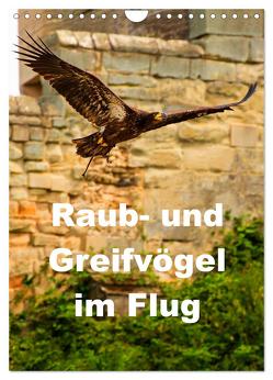 Raub- und Greifvögel im Flug (Wandkalender 2024 DIN A4 hoch), CALVENDO Monatskalender von Wernicke-Marfo,  Gabriela