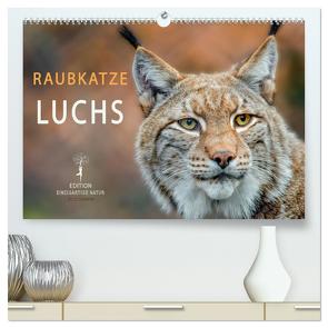Raubkatze Luchs (hochwertiger Premium Wandkalender 2024 DIN A2 quer), Kunstdruck in Hochglanz von Roder,  Peter