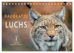 Raubkatze Luchs (Tischkalender 2024 DIN A5 quer), CALVENDO Monatskalender von Roder,  Peter