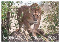 Raubkatzen Afrikas (Tischkalender 2024 DIN A5 quer), CALVENDO Monatskalender von Lippmann,  Andreas